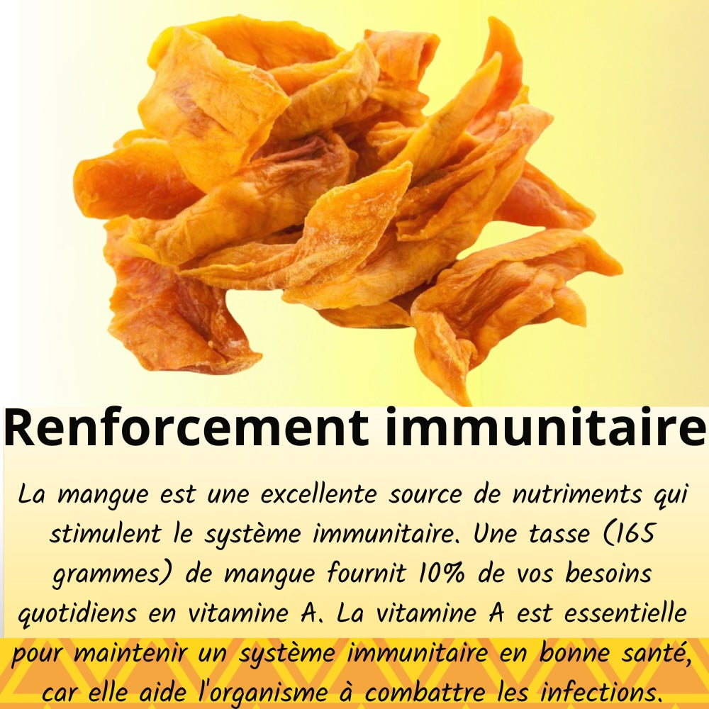 Wely - Mangue Séchée Premium - (Lot de 3 x 100 g)