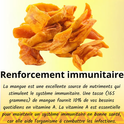 Wely - Mangue Séchée Premium - (Lot de 3 x 100 g)